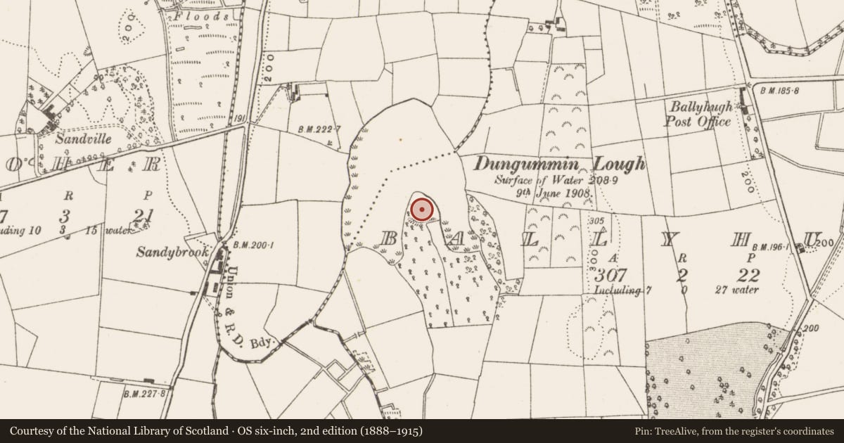 Ordnance Survey six-inch map, 2nd edition (1888–1915) covering the location of Promontory fort - inland, Ballyhugh, County Cavan, with a pin at the register's coordinates