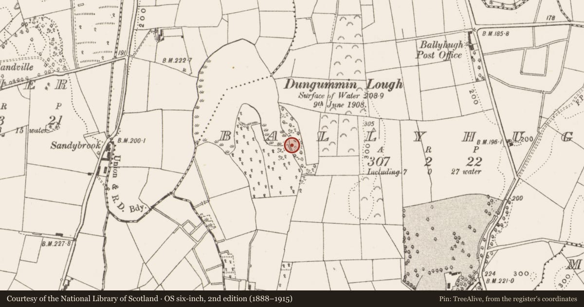 Ordnance Survey six-inch map, 2nd edition (1888–1915) covering the location of Megalithic tomb - court tomb, Ballyhugh, County Cavan, with a pin at the register's coordinates
