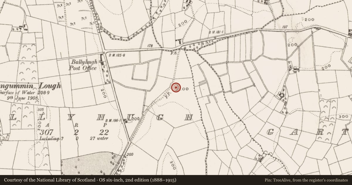 Ordnance Survey six-inch map, 2nd edition (1888–1915) covering the location of Ringfort - rath, Ballyhugh, County Cavan, with a pin at the register's coordinates