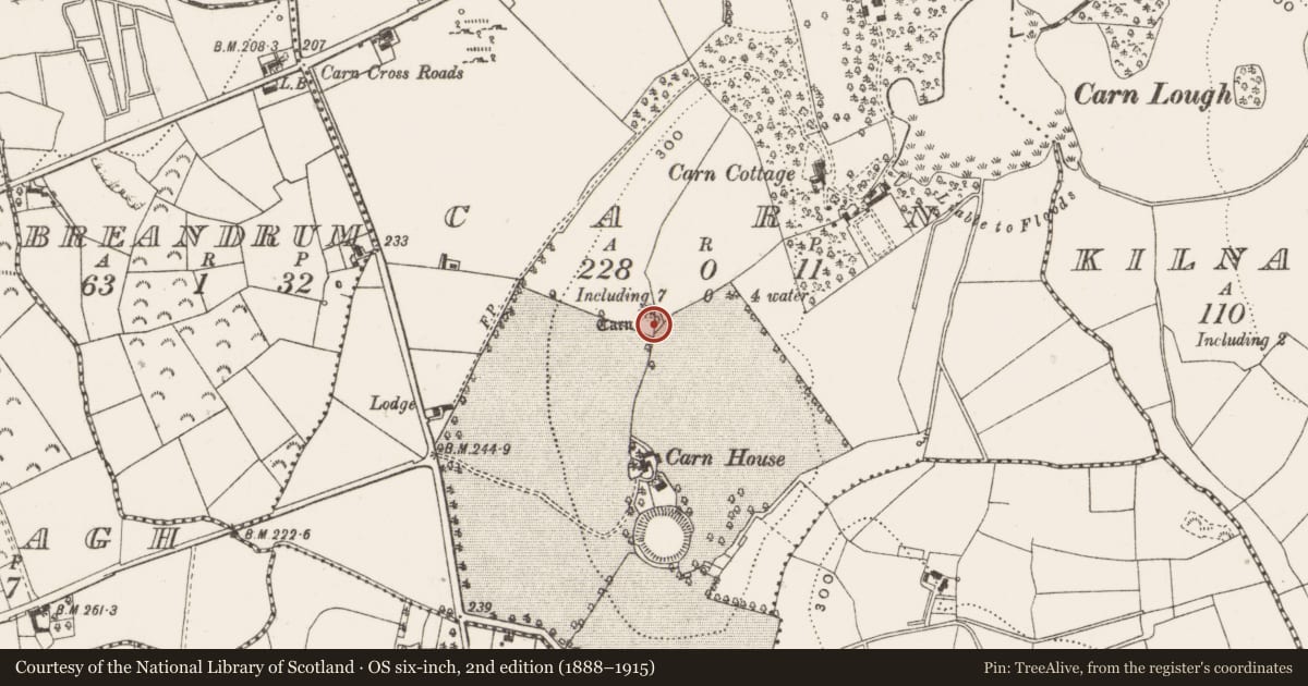 Ordnance Survey six-inch map, 2nd edition (1888–1915) covering the location of Megalithic tomb - passage tomb, Carn, County Cavan, with a pin at the register's coordinates