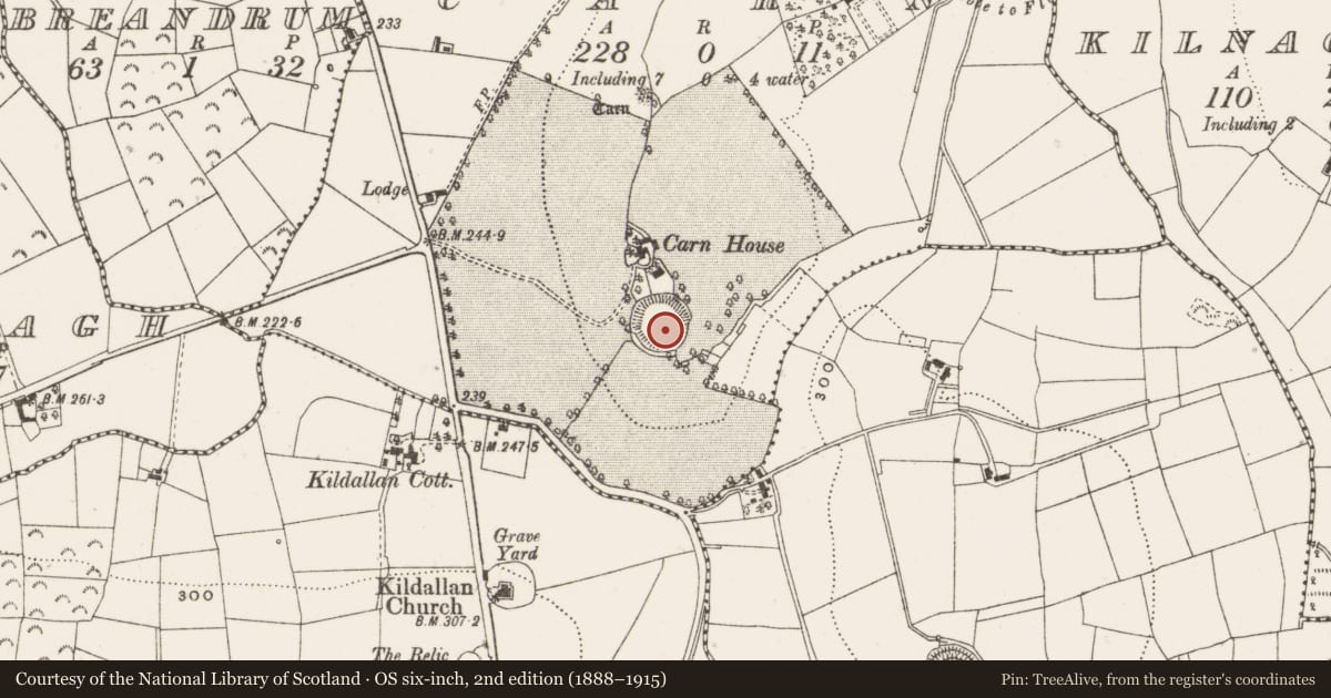 Ordnance Survey six-inch map, 2nd edition (1888–1915) covering the location of Ringfort - rath, Carn, County Cavan, with a pin at the register's coordinates