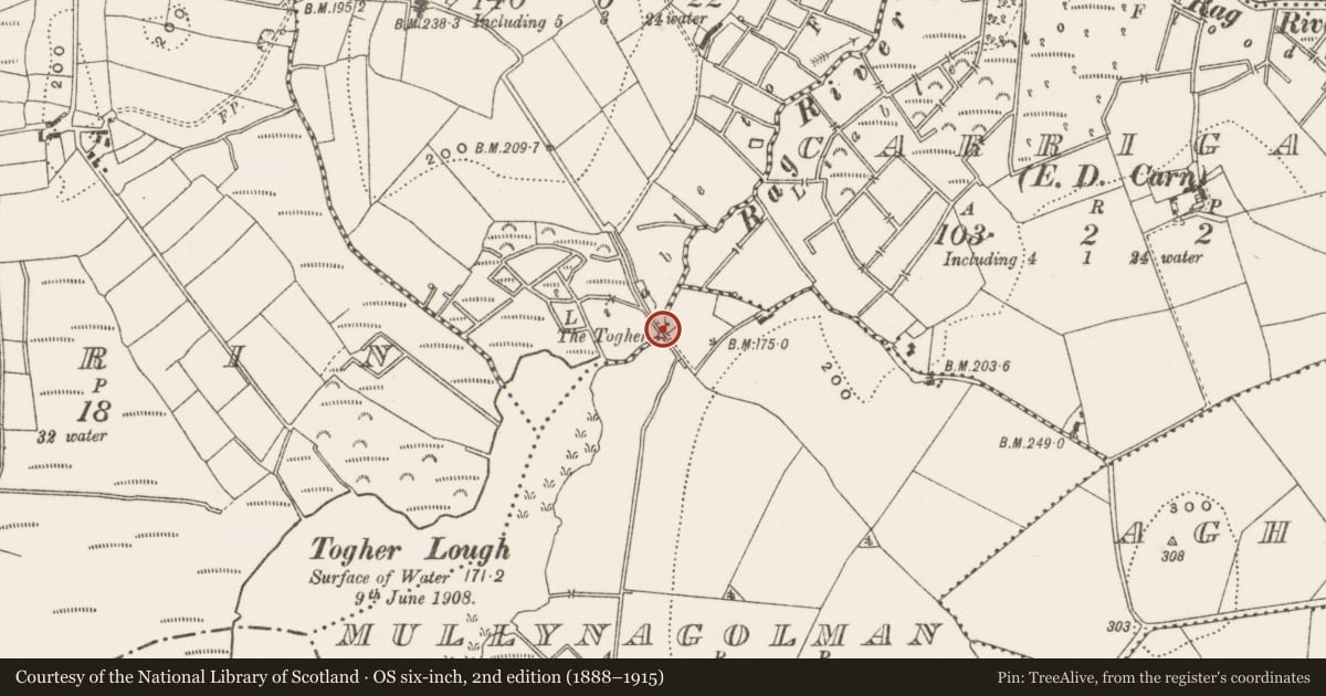 Ordnance Survey six-inch map, 2nd edition (1888–1915) covering the location of Road - unclassified togher, Cloncollow, Mullynagolman, County Cavan, with a pin at the register's coordinates