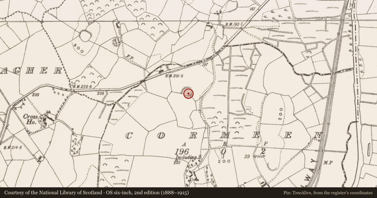 Ordnance Survey six-inch map, 2nd edition (1888–1915) covering the location of Ringfort - rath, Cormeen, County Cavan, with a pin at the register's coordinates
