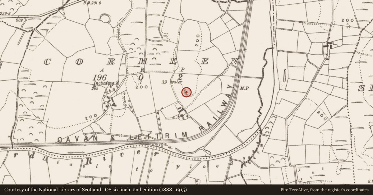 Ordnance Survey six-inch map, 2nd edition (1888–1915) covering the location of Ringfort - rath, Cormeen, County Cavan, with a pin at the register's coordinates