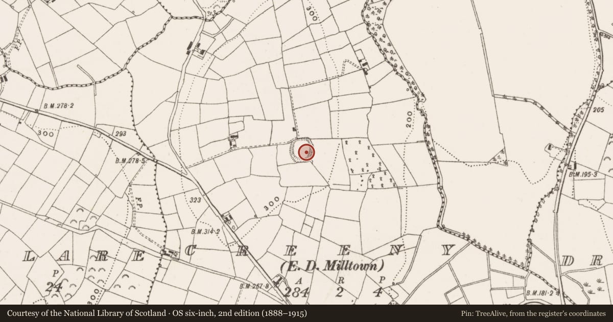 Ordnance Survey six-inch map, 2nd edition (1888–1915) covering the location of Ringfort - rath, Creeny, County Cavan, with a pin at the register's coordinates