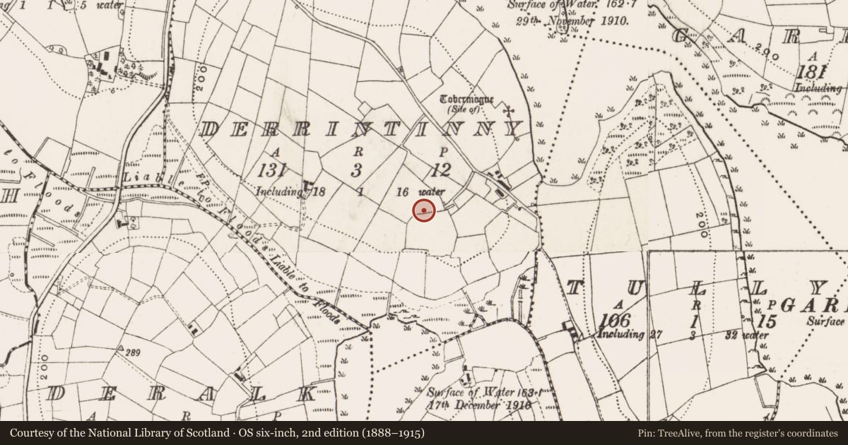 Ordnance Survey six-inch map, 2nd edition (1888–1915) covering the location of Bullaun stone, Derrintinny, County Cavan, with a pin at the register's coordinates