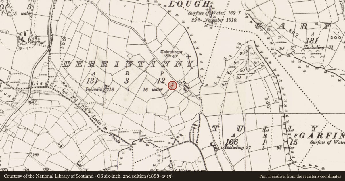 Ordnance Survey six-inch map, 2nd edition (1888–1915) covering the location of Bullaun stone, Derrintinny, County Cavan, with a pin at the register's coordinates