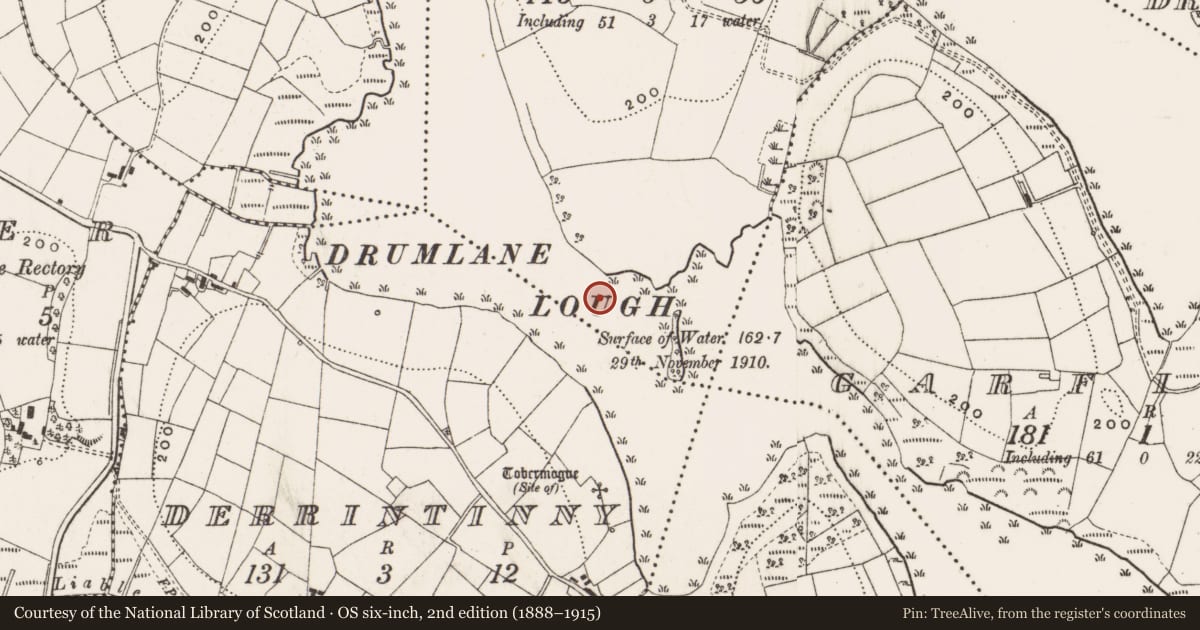 Ordnance Survey six-inch map, 2nd edition (1888–1915) covering the location of Crannog, Derrybrick, County Cavan, with a pin at the register's coordinates