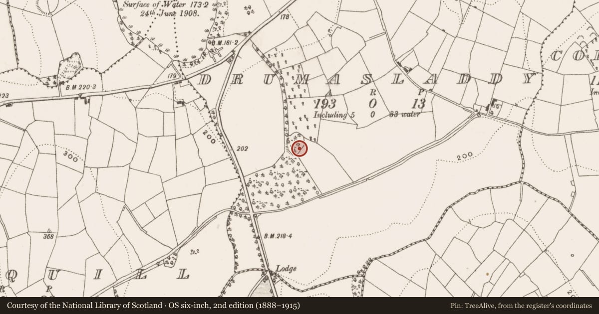 Ordnance Survey six-inch map, 2nd edition (1888–1915) covering the location of Ringfort - rath, Drumasladdy, County Cavan, with a pin at the register's coordinates