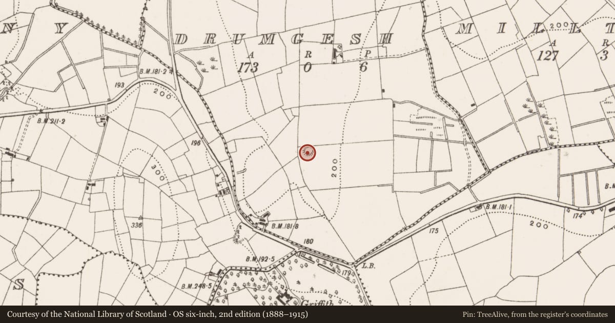 Ordnance Survey six-inch map, 2nd edition (1888–1915) covering the location of Ringfort - rath, Drumgesh, County Cavan, with a pin at the register's coordinates