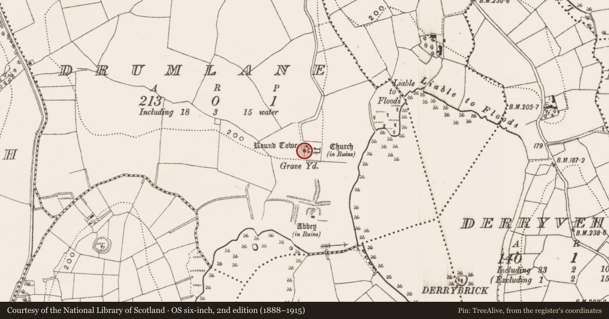 Ordnance Survey six-inch map, 2nd edition (1888–1915) covering the location of Cross-inscribed stone, Drumlane, County Cavan, with a pin at the register's coordinates