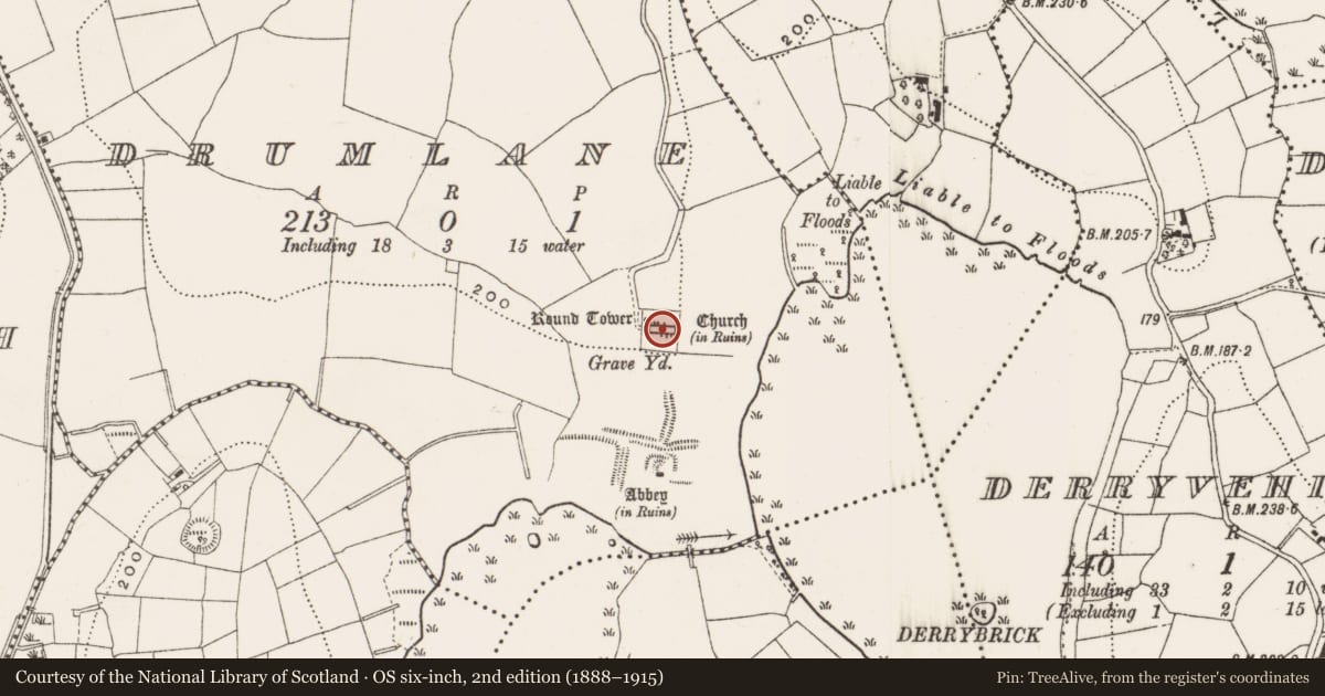 Ordnance Survey six-inch map, 2nd edition (1888–1915) covering the location of Graveslab, Drumlane, County Cavan, with a pin at the register's coordinates