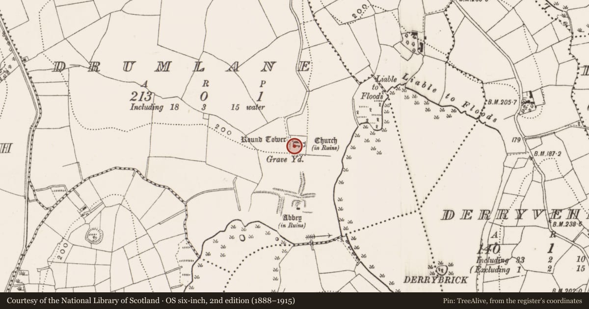 Ordnance Survey six-inch map, 2nd edition (1888–1915) covering the location of Architectural fragment, Drumlane, County Cavan, with a pin at the register's coordinates