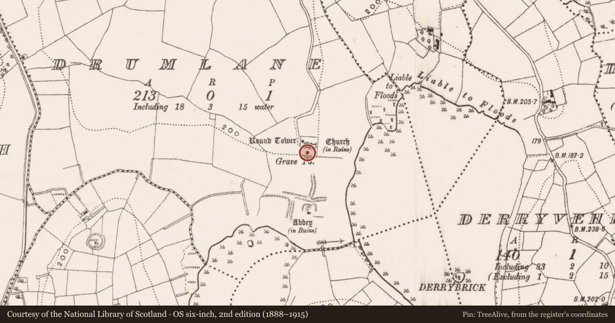 Ordnance Survey six-inch map, 2nd edition (1888–1915) covering the location of Graveyard, Drumlane, County Cavan, with a pin at the register's coordinates