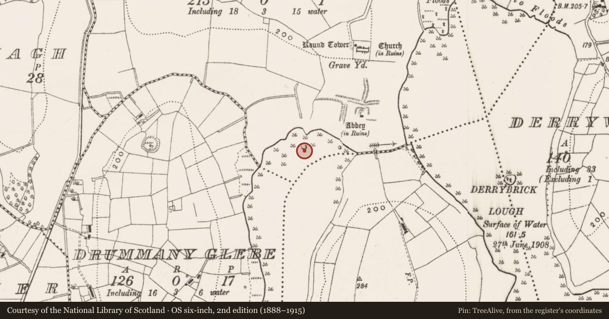 Ordnance Survey six-inch map, 2nd edition (1888–1915) covering the location of Crannog, Drumlane, County Cavan, with a pin at the register's coordinates