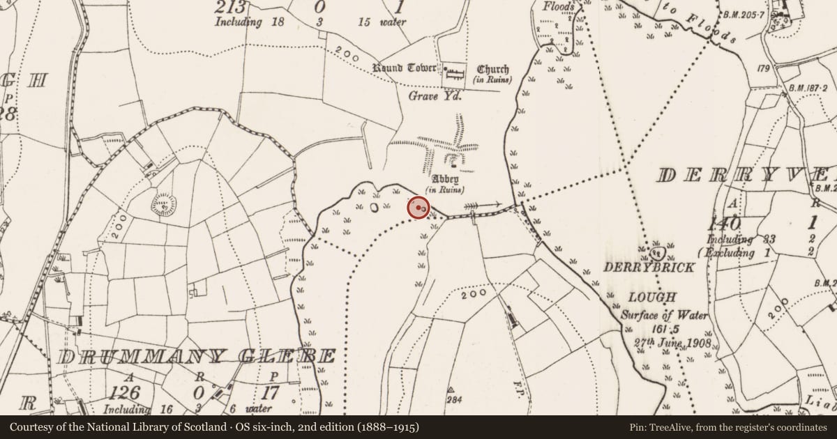 Ordnance Survey six-inch map, 2nd edition (1888–1915) covering the location of Crannog, Drumlane, County Cavan, with a pin at the register's coordinates