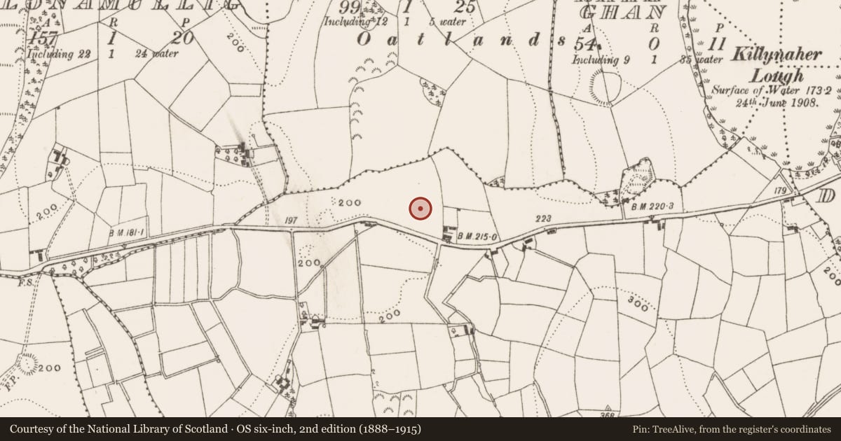 Ordnance Survey six-inch map, 2nd edition (1888–1915) covering the location of Stone row, Gartaquill, County Cavan, with a pin at the register's coordinates