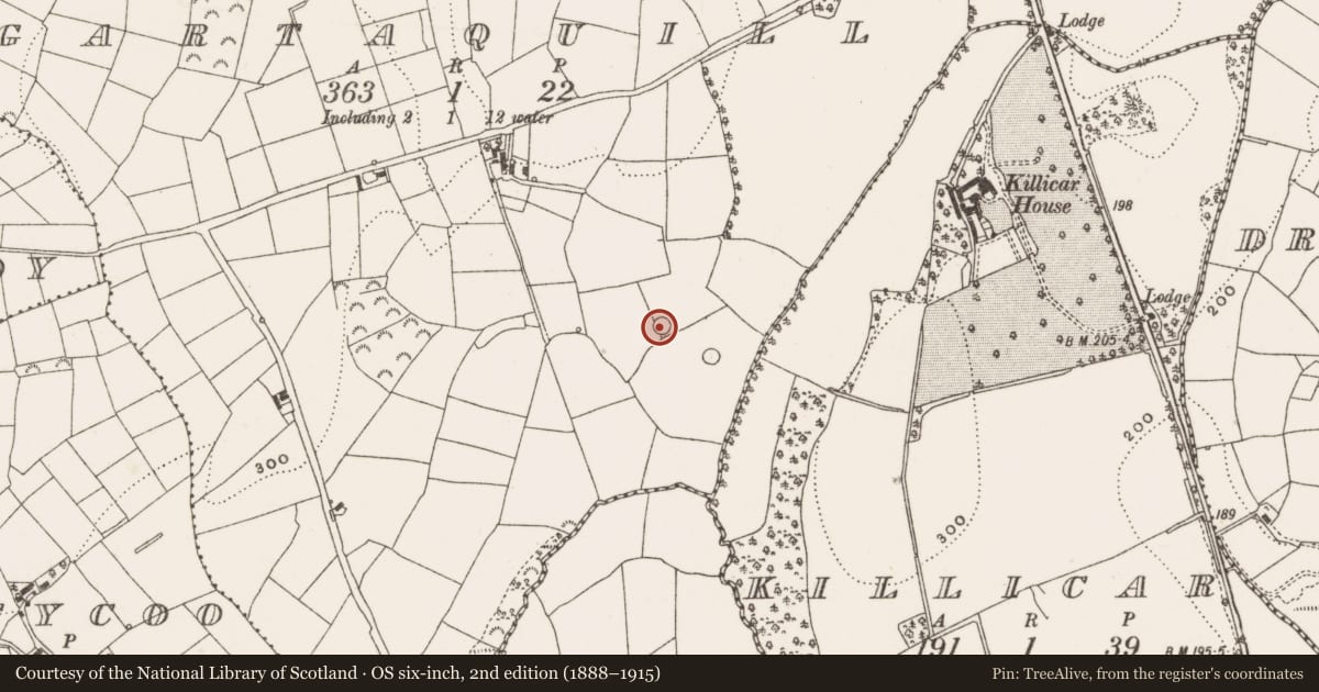 Ordnance Survey six-inch map, 2nd edition (1888–1915) covering the location of Designed landscape - tree-ring, Gartaquill, County Cavan, with a pin at the register's coordinates
