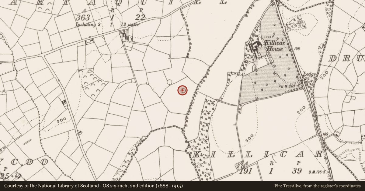 Ordnance Survey six-inch map, 2nd edition (1888–1915) covering the location of Designed landscape - tree-ring, Gartaquill, County Cavan, with a pin at the register's coordinates