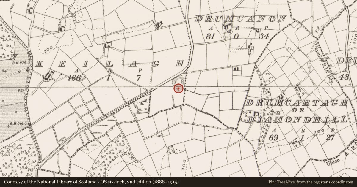 Ordnance Survey six-inch map, 2nd edition (1888–1915) covering the location of Ringfort - rath, Keilagh, County Cavan, with a pin at the register's coordinates