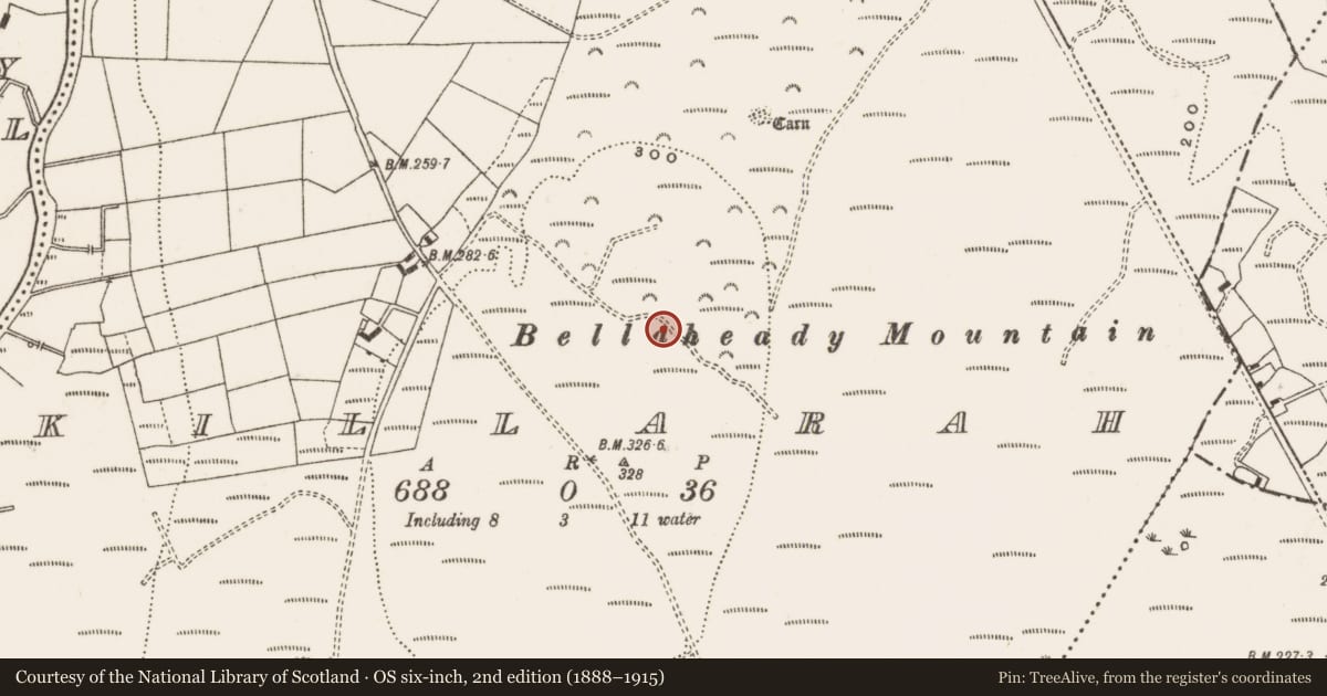 Ordnance Survey six-inch map, 2nd edition (1888–1915) covering the location of Enclosure, Killarah, County Cavan, with a pin at the register's coordinates