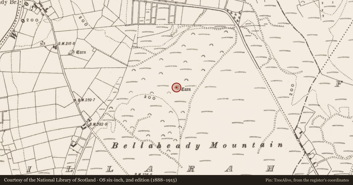 Ordnance Survey six-inch map, 2nd edition (1888–1915) covering the location of Cairn - unclassified, Killarah, County Cavan, with a pin at the register's coordinates