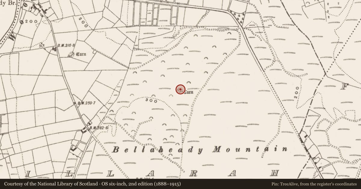 Ordnance Survey six-inch map, 2nd edition (1888–1915) covering the location of Cist, Killarah, County Cavan, with a pin at the register's coordinates