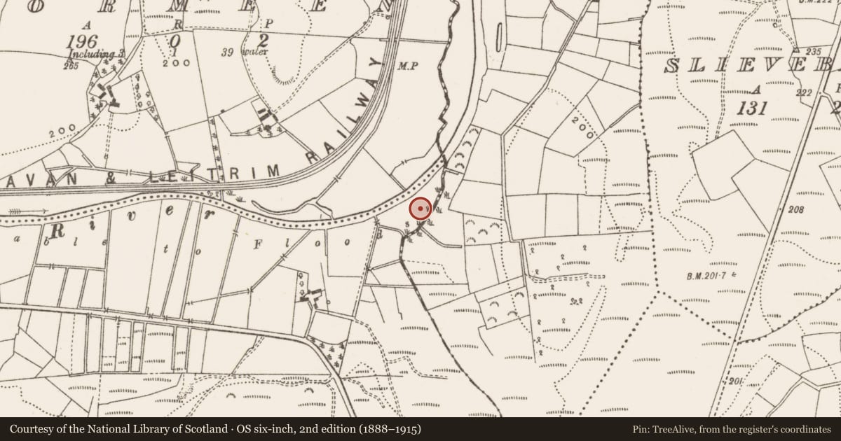 Ordnance Survey six-inch map, 2nd edition (1888–1915) covering the location of Ringfort - rath, Cormeen, County Cavan, with a pin at the register's coordinates