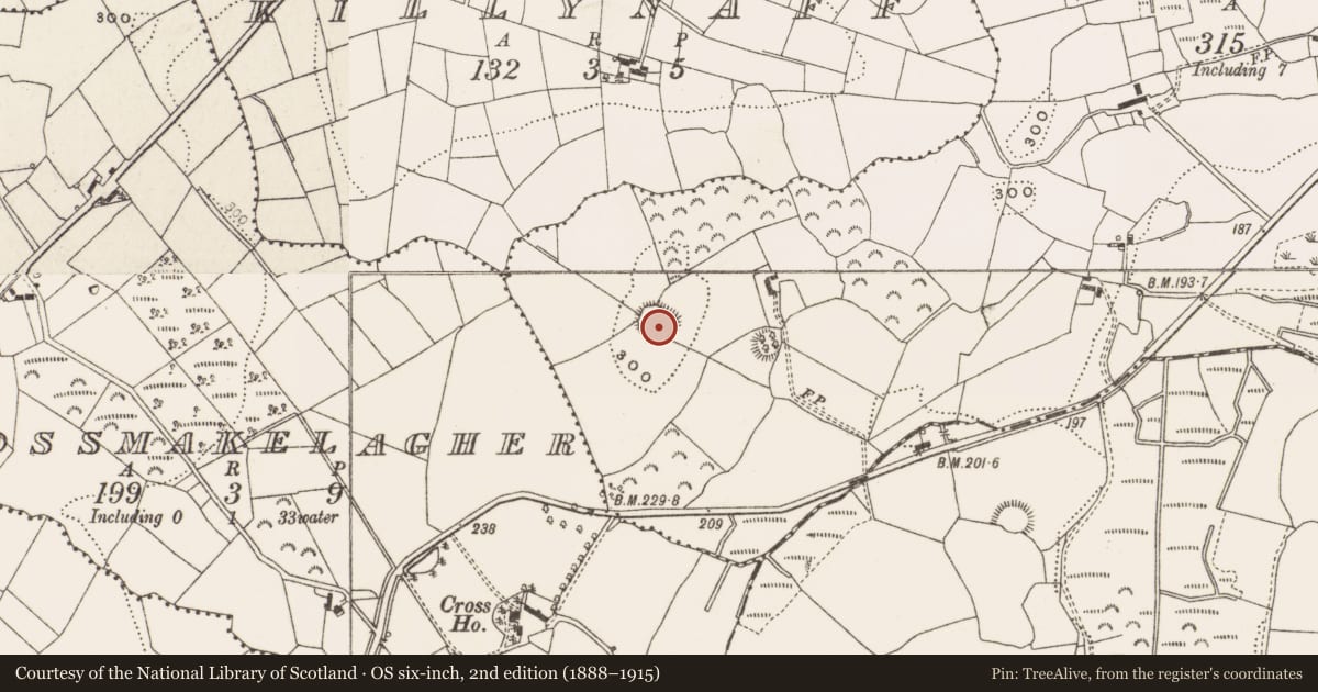 Ordnance Survey six-inch map, 2nd edition (1888–1915) covering the location of Ringfort - rath, Lecharrownahone, County Cavan, with a pin at the register's coordinates