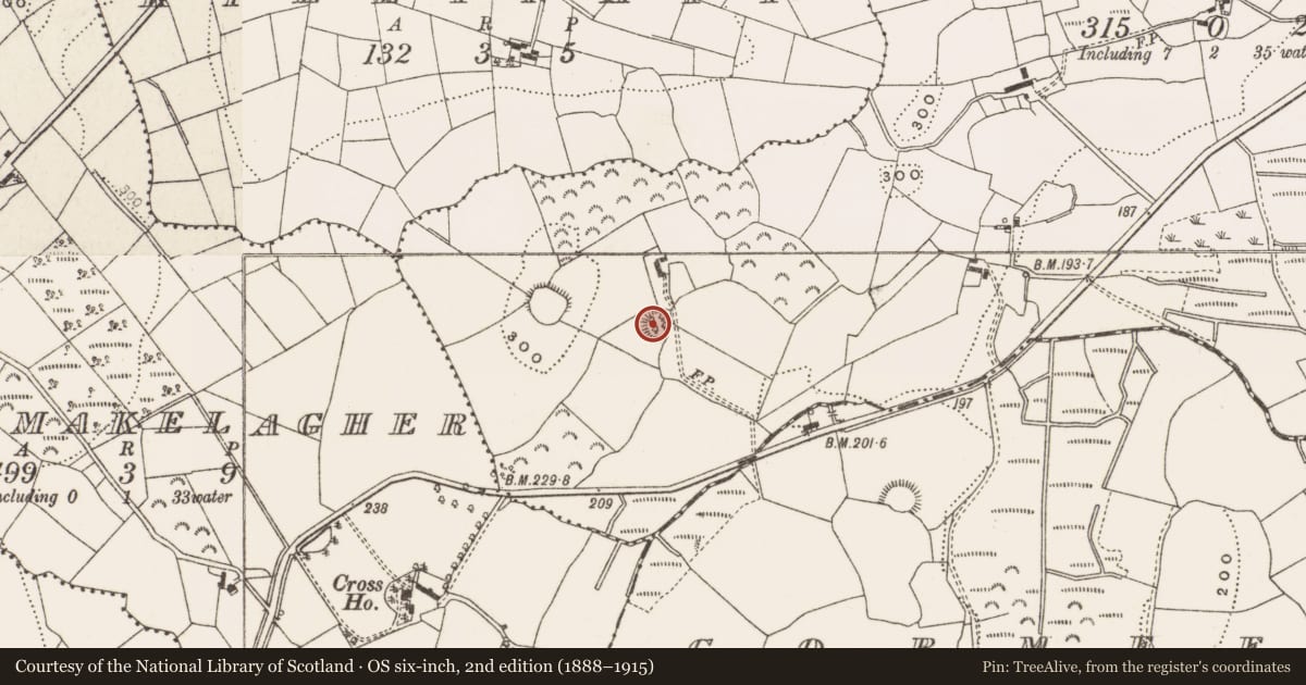 Ordnance Survey six-inch map, 2nd edition (1888–1915) covering the location of Ringfort - rath, Lecharrownahone, County Cavan, with a pin at the register's coordinates