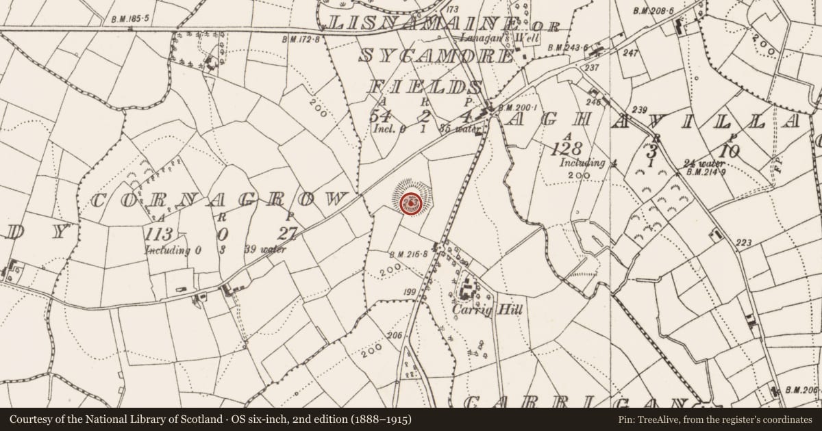 Ordnance Survey six-inch map, 2nd edition (1888–1915) covering the location of Castle - unclassified, Lisnamaine Or Sycamore Fields, County Cavan, with a pin at the register's coordinates