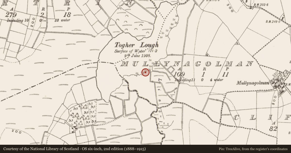 Ordnance Survey six-inch map, 2nd edition (1888–1915) covering the location of Crannog, Mullynagolman, County Cavan, with a pin at the register's coordinates