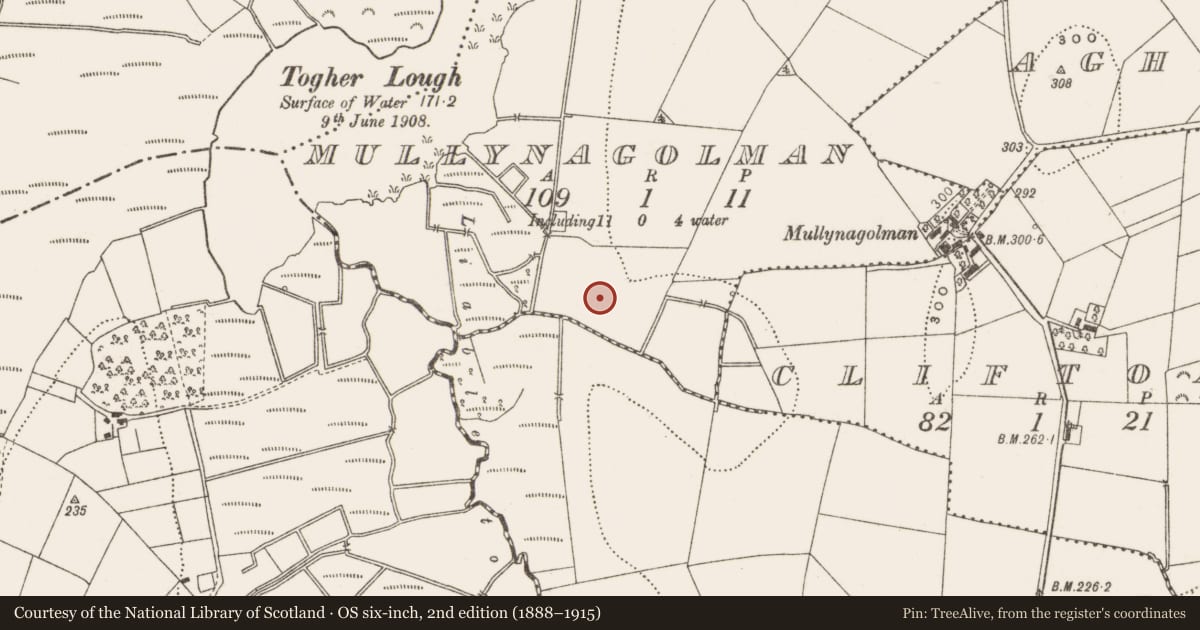 Ordnance Survey six-inch map, 2nd edition (1888–1915) covering the location of Sheela-na-gig, Mullynagolman, County Cavan, with a pin at the register's coordinates