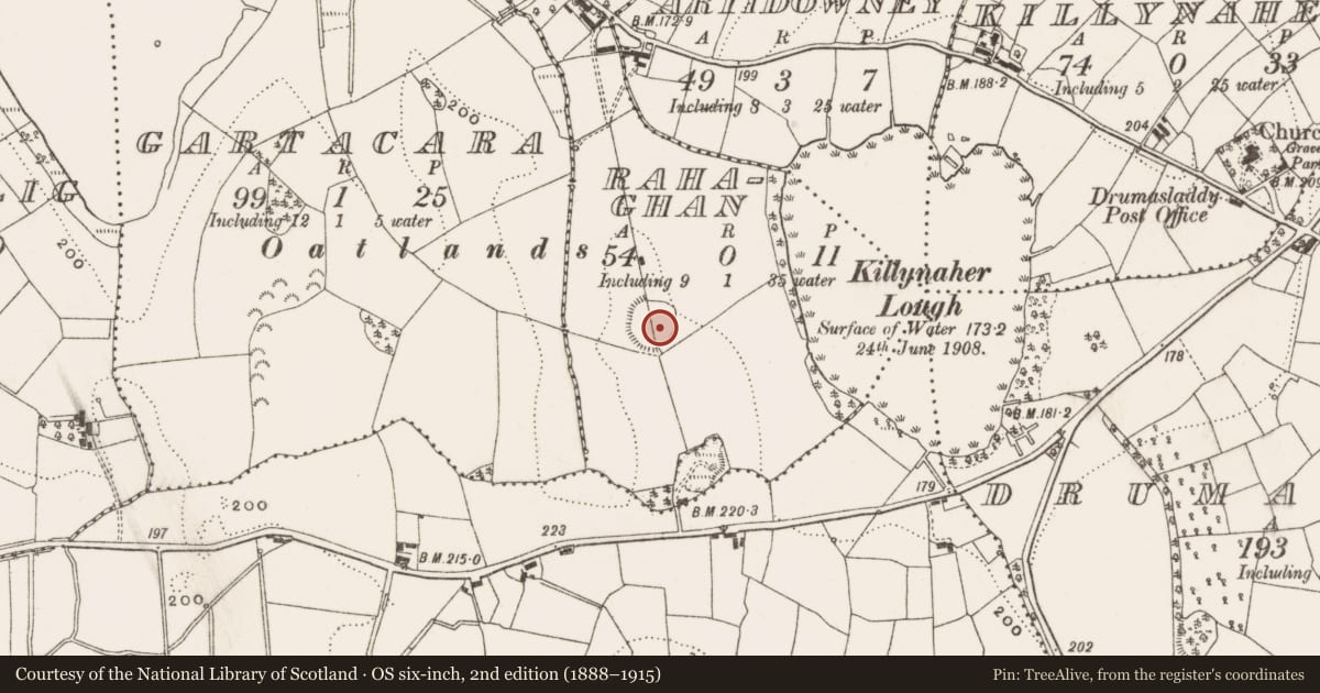 Ordnance Survey six-inch map, 2nd edition (1888–1915) covering the location of Ringfort - rath, Rahaghan, County Cavan, with a pin at the register's coordinates