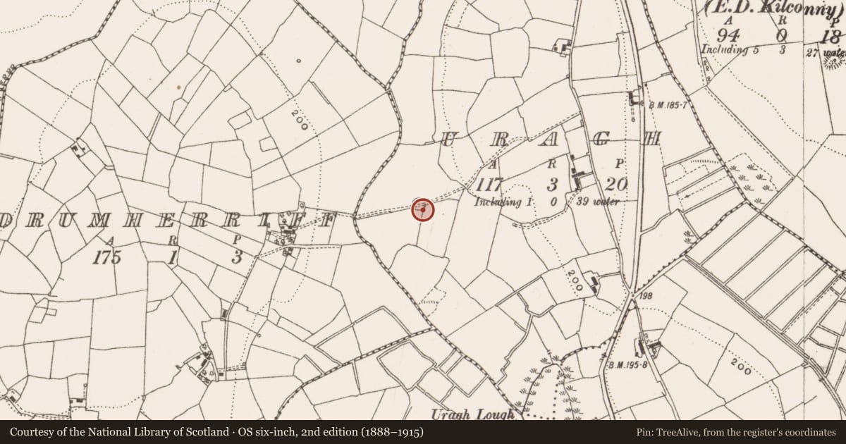Ordnance Survey six-inch map, 2nd edition (1888–1915) covering the location of Ringfort - rath, Uragh, County Cavan, with a pin at the register's coordinates