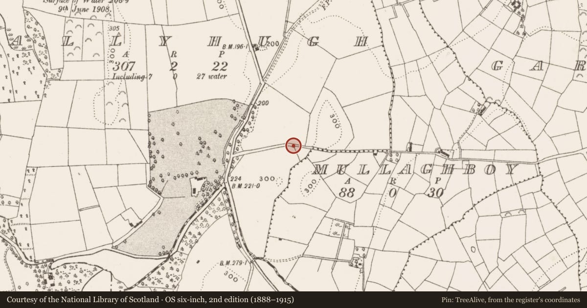 Ordnance Survey six-inch map, 2nd edition (1888–1915) covering the location of Mound, Ballyhugh, County Cavan, with a pin at the register's coordinates