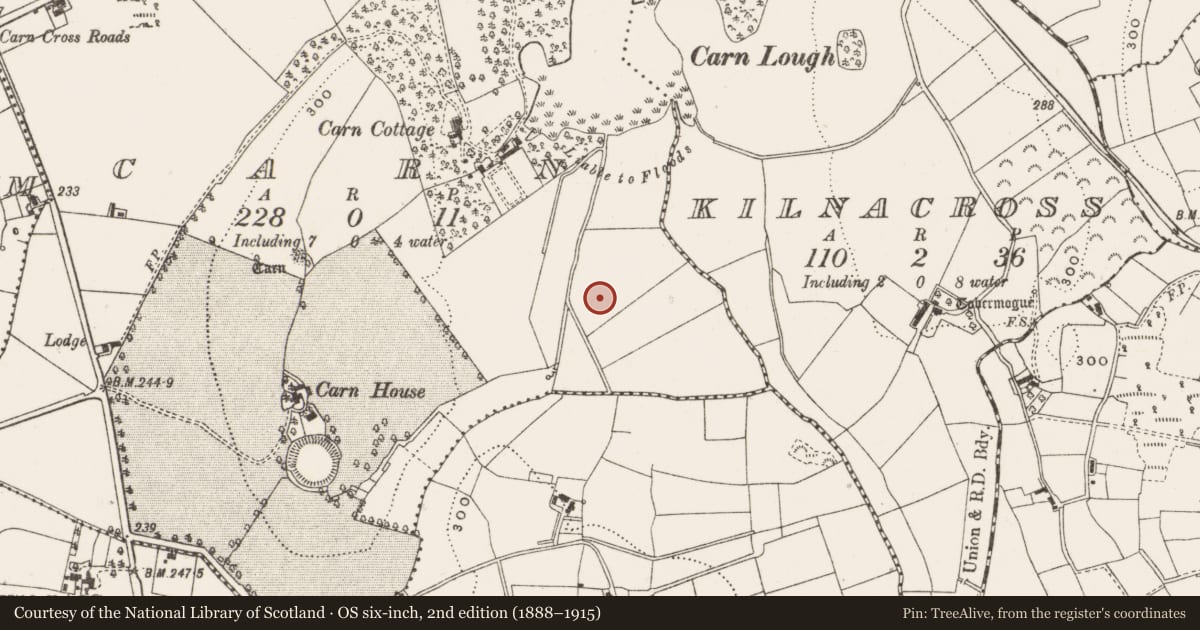 Ordnance Survey six-inch map, 2nd edition (1888–1915) covering the location of Barrow - stepped barrow, Carn, County Cavan, with a pin at the register's coordinates
