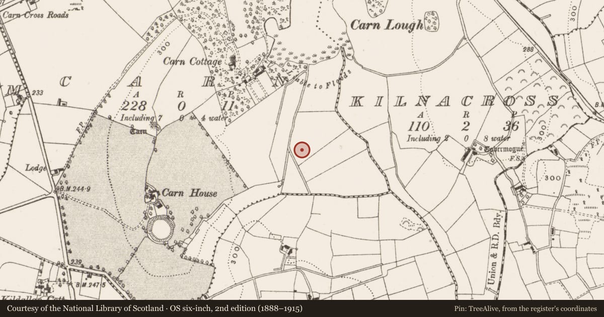 Ordnance Survey six-inch map, 2nd edition (1888–1915) covering the location of Enclosure, Carn, County Cavan, with a pin at the register's coordinates