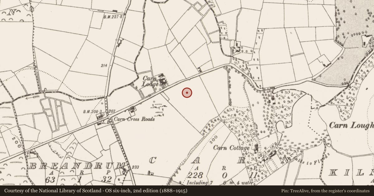 Ordnance Survey six-inch map, 2nd edition (1888–1915) covering the location of Enclosure, Carn, County Cavan, with a pin at the register's coordinates