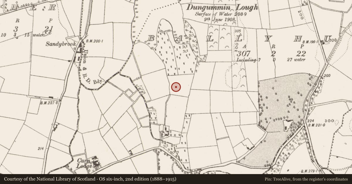 Ordnance Survey six-inch map, 2nd edition (1888–1915) covering the location of Ringfort - rath, Ballyhugh, County Cavan, with a pin at the register's coordinates