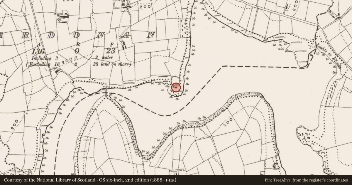 Ordnance Survey six-inch map, 2nd edition (1888–1915) covering the location of Ringfort - rath, Ardonan, County Cavan, with a pin at the register's coordinates