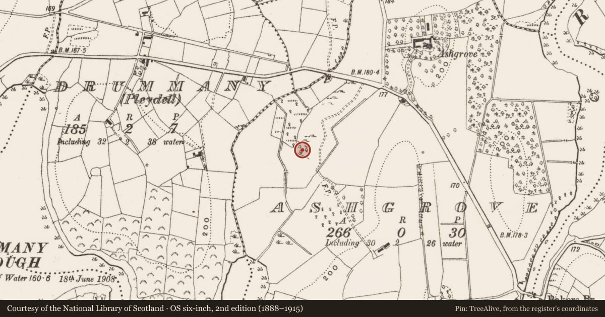 Ordnance Survey six-inch map, 2nd edition (1888–1915) covering the location of Enclosure, Ashgrove, County Cavan, with a pin at the register's coordinates