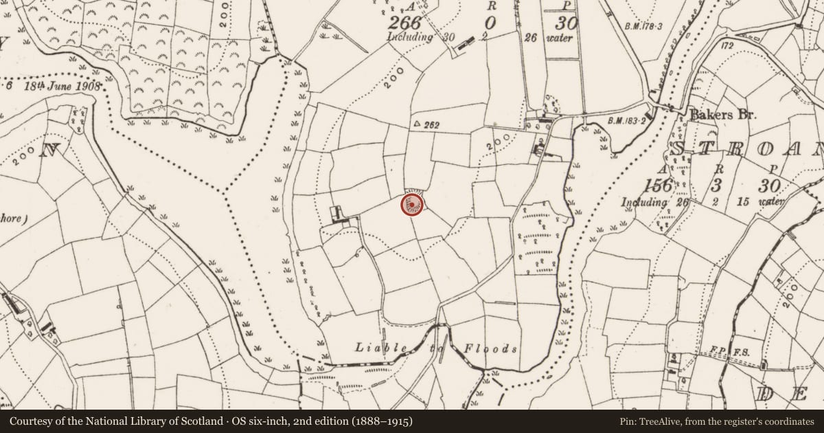 Ordnance Survey six-inch map, 2nd edition (1888–1915) covering the location of Ringfort - rath, Ashgrove, County Cavan, with a pin at the register's coordinates