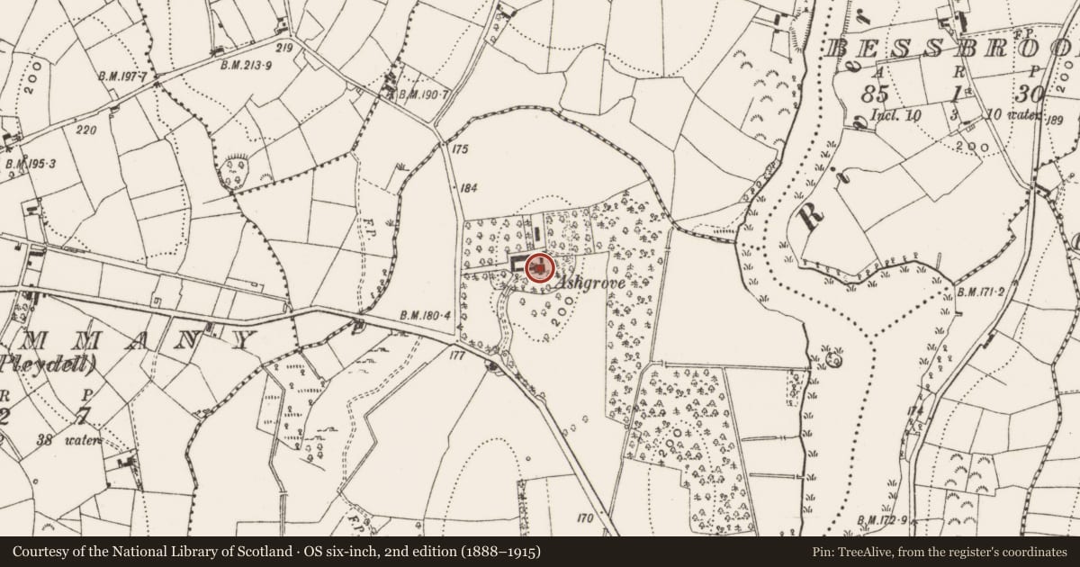 Ordnance Survey six-inch map, 2nd edition (1888–1915) covering the location of Castle - unclassified, Ashgrove, County Cavan, with a pin at the register's coordinates