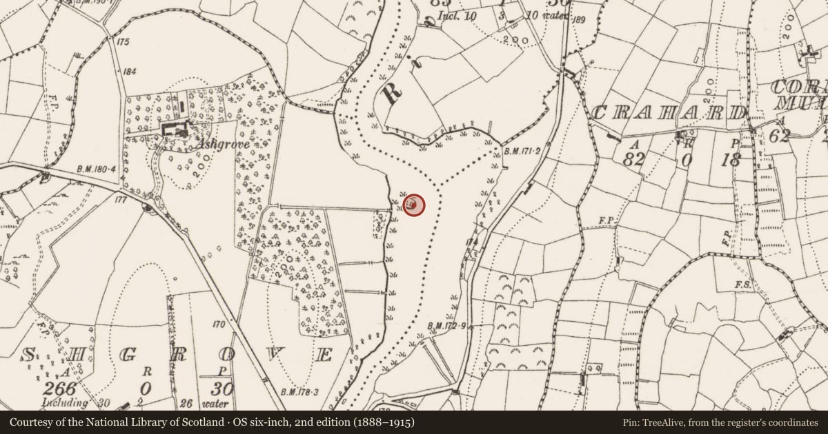 Ordnance Survey six-inch map, 2nd edition (1888–1915) covering the location of Crannog, Ashgrove, County Cavan, with a pin at the register's coordinates
