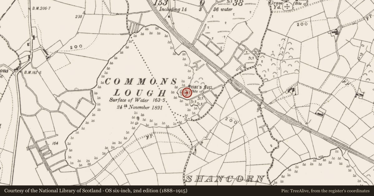 Ordnance Survey six-inch map, 2nd edition (1888–1915) covering the location of Enclosure, Ballinlough, County Cavan, with a pin at the register's coordinates