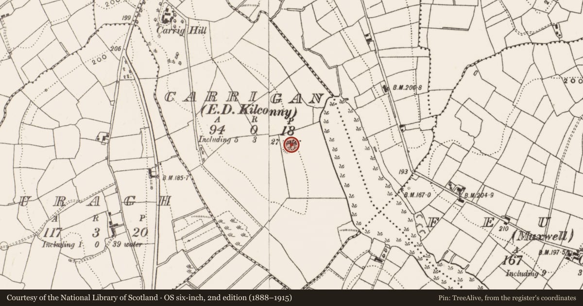 Ordnance Survey six-inch map, 2nd edition (1888–1915) covering the location of Ringfort - rath, Carrigan, County Cavan, with a pin at the register's coordinates