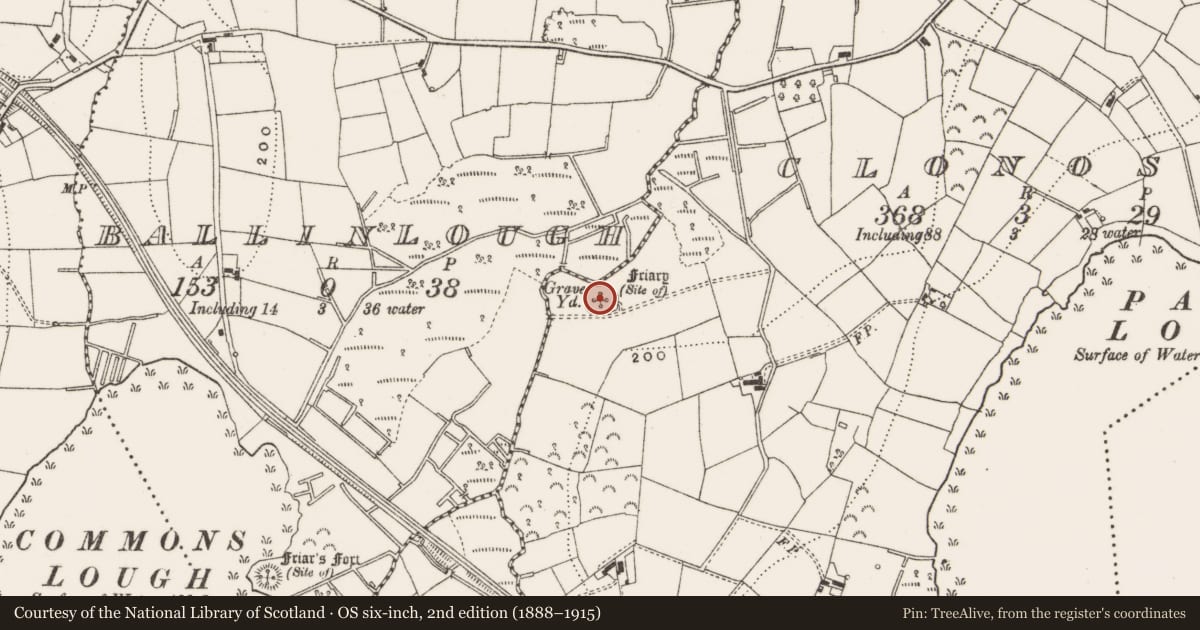 Ordnance Survey six-inch map, 2nd edition (1888–1915) covering the location of Graveyard, Clonosey, County Cavan, with a pin at the register's coordinates