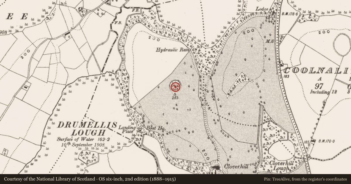 Ordnance Survey six-inch map, 2nd edition (1888–1915) covering the location of Ringfort - rath, Cloverhill Demesne, County Cavan, with a pin at the register's coordinates