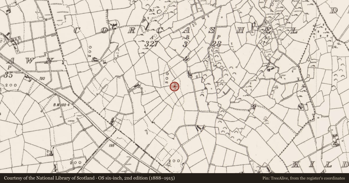 Ordnance Survey six-inch map, 2nd edition (1888–1915) covering the location of Ringfort - cashel, Corcashel, County Cavan, with a pin at the register's coordinates